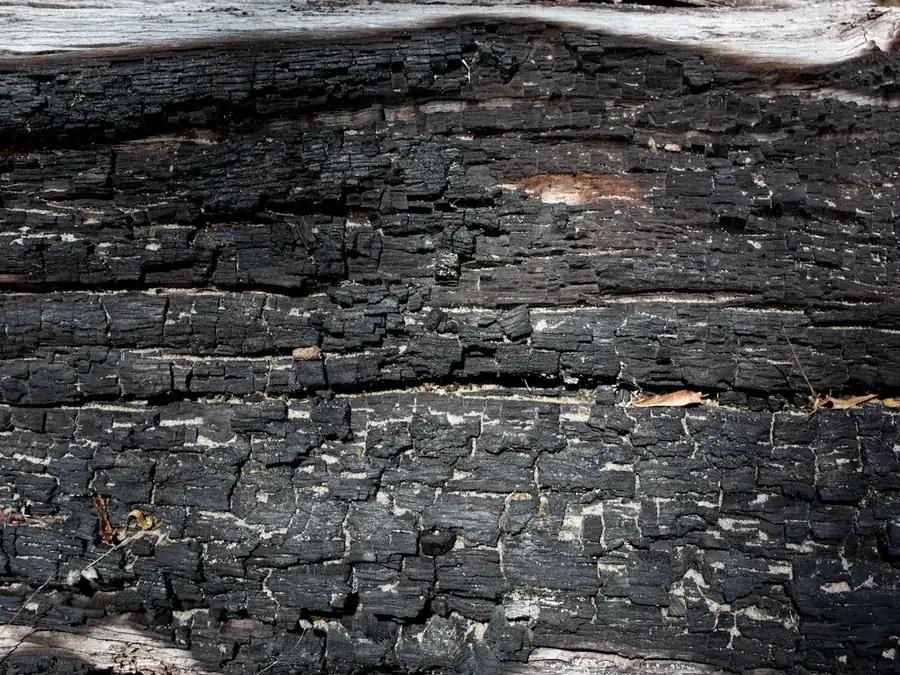 Fire & Smoke Damage