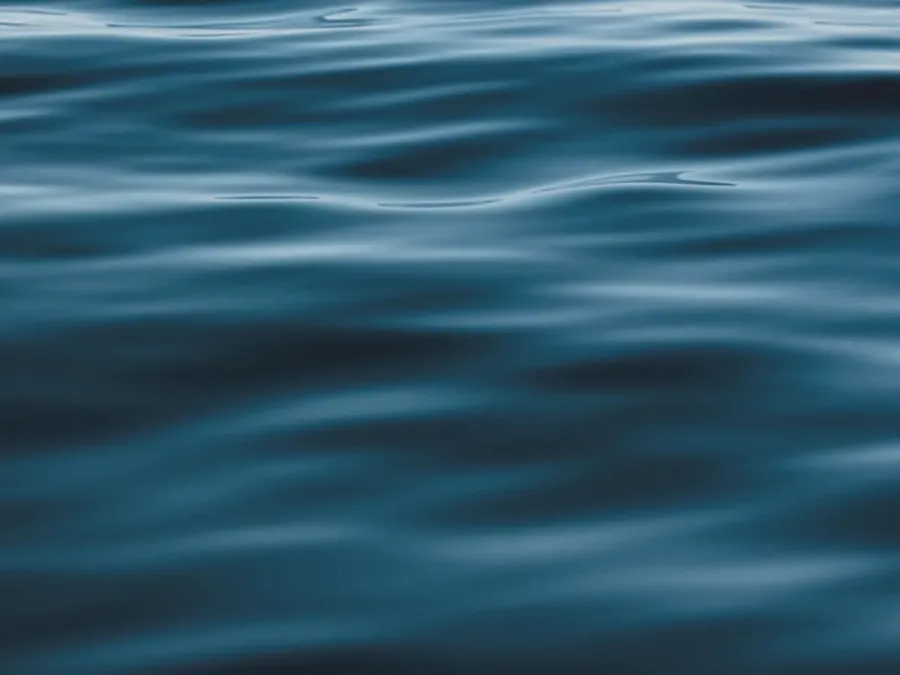 Emergency Water Extraction